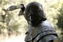 orcspics (9)